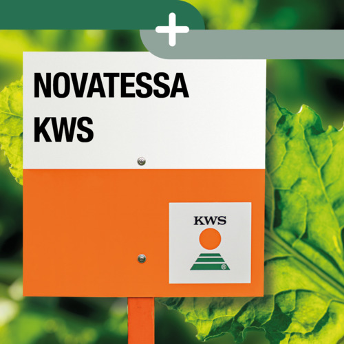 NOVATESSA KWS