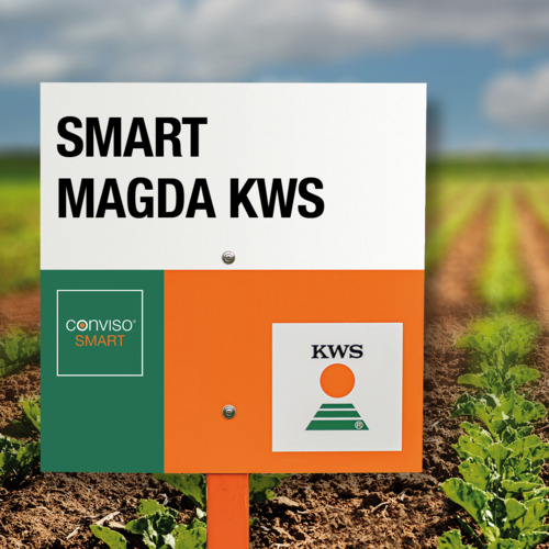 SMART MAGDA KWS