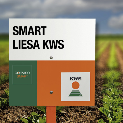 SMART LIESA KWS