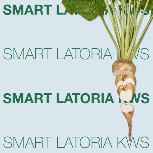 SMART LATORIA KWS