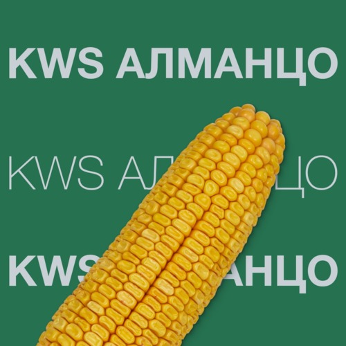 KWS АЛМАНЦО