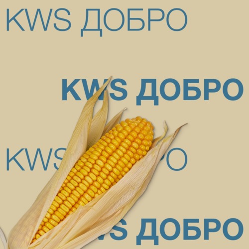 KWS ДОБРО