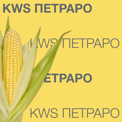 KWS ПЕТРАРО