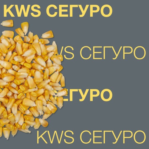KWS СЕГУРО