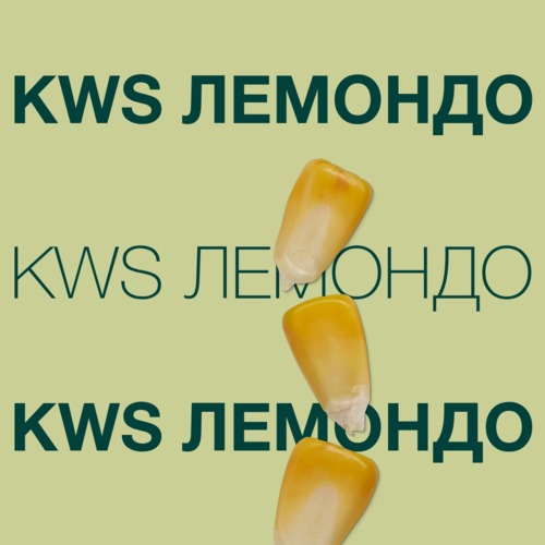 KWS ЛЕМОНДО