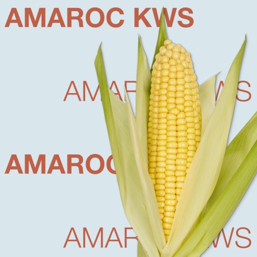AMAROC