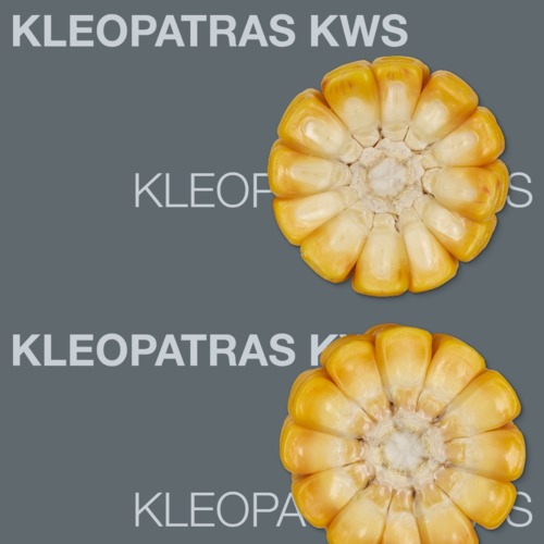 KLEOPATRAS