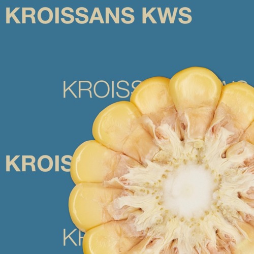 KROISSANS