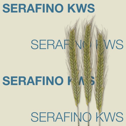 KWS SERAFINO
