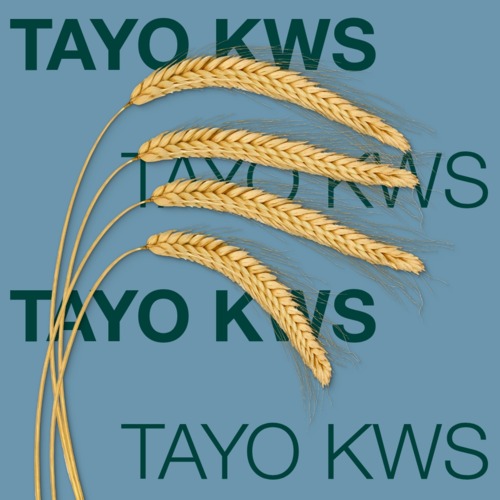 KWS TAYO