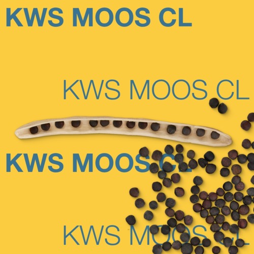 KWS MOOS CL