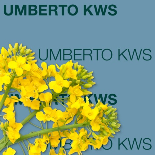 UMBERTO KWS