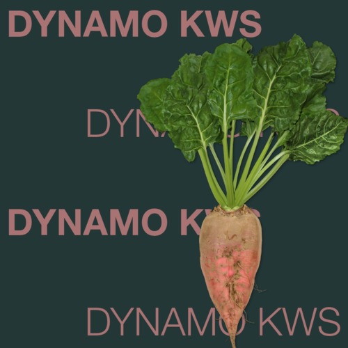 DYNAMO KWS