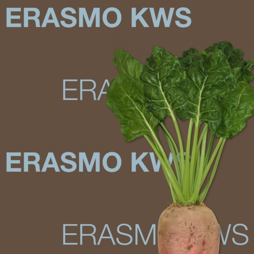 ERASMO KWS