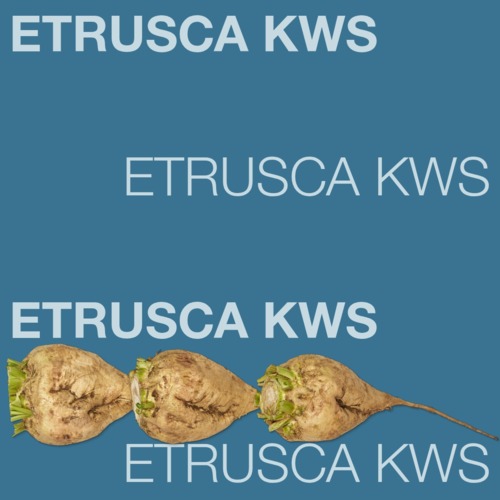 ETRUSCA KWS