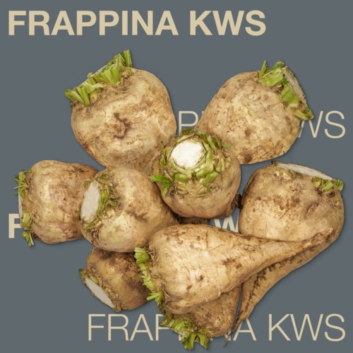 FRAPPINA KWS
