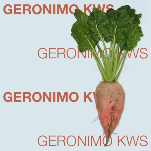 GERONIMO KWS