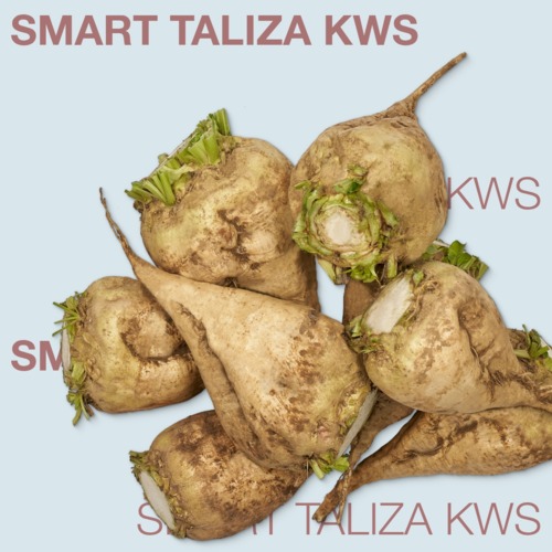 SMART TALIZA KWS