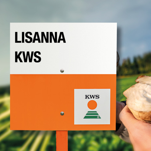 LISANNA KWS
