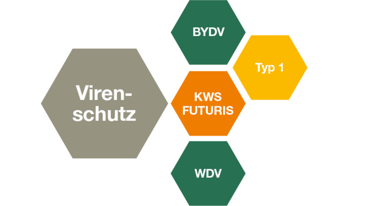KWS FUTURIS