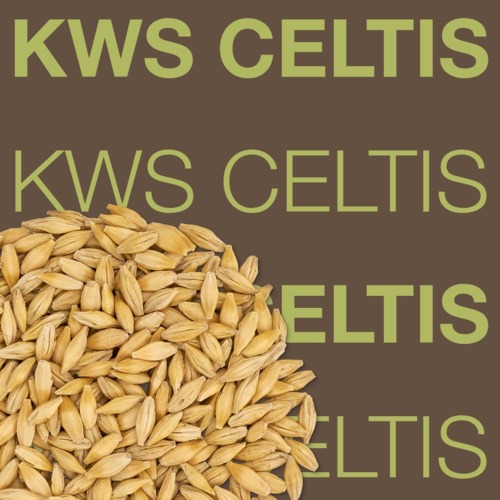 KWS CELTIS