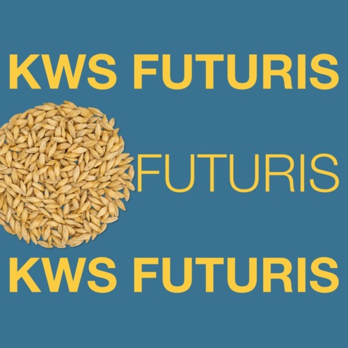 KWS FUTURIS