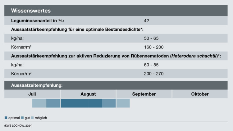 KWS Fit4NEXT RÜBE N-FIX