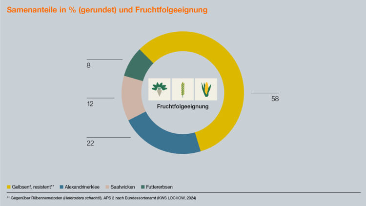 KWS Fit4NEXT RÜBE N-FIX