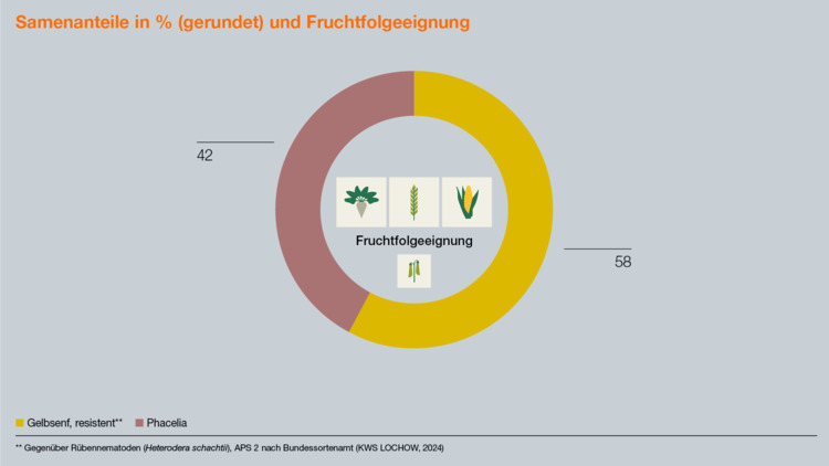 KWS Fit4NEXT RÜBE RETTICHFREI