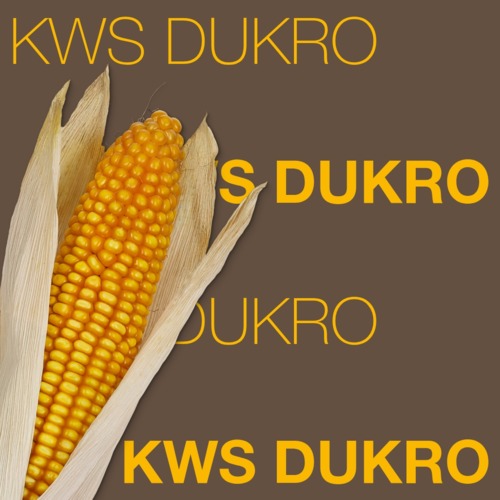 KWS DUKRO