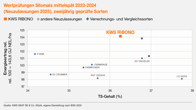 KWS RIBONO