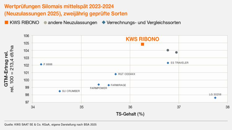 KWS RIBONO