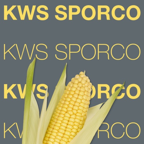 KWS SPORCO