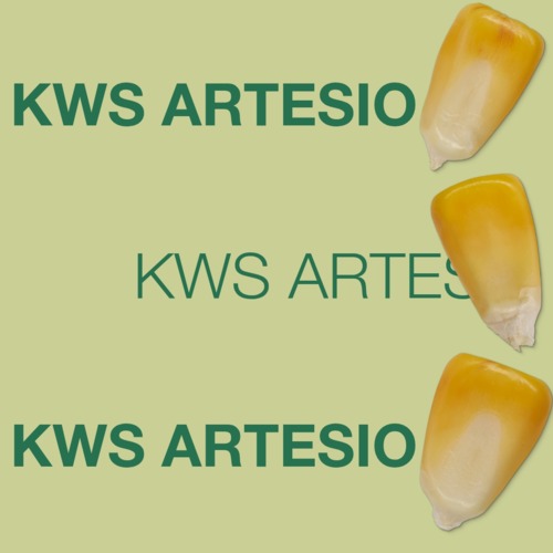 KWS ARTESIO