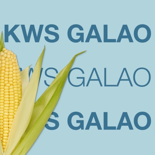 KWS GALAO