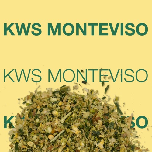 KWS MONTEVISO