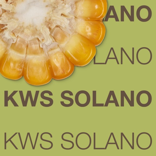 KWS SOLANO