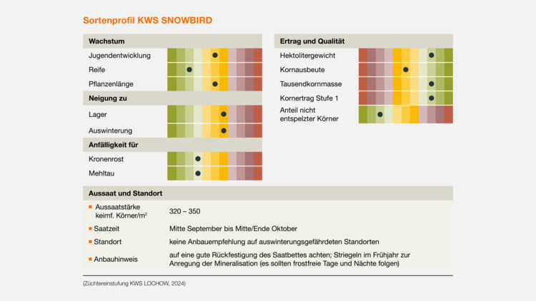 KWS SNOWBIRD