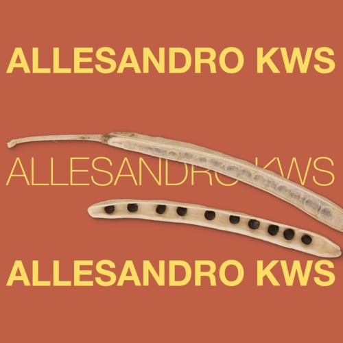 ALLESANDRO KWS