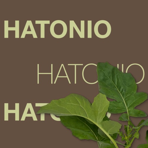 HATONIO