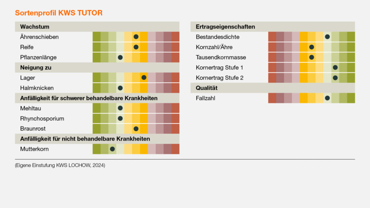 KWS TUTOR