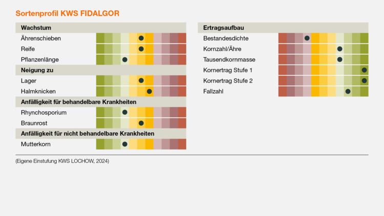 KWS FIDALGOR