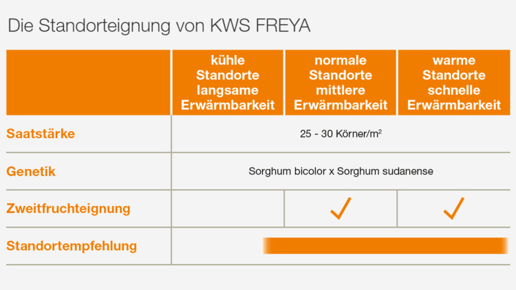 KWS FREYA