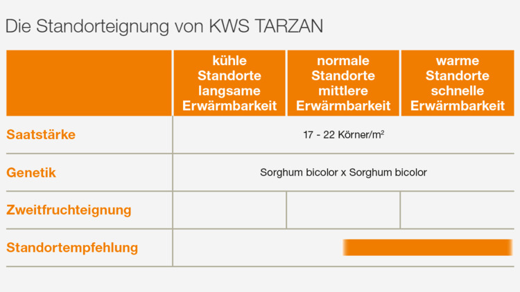 KWS TARZAN