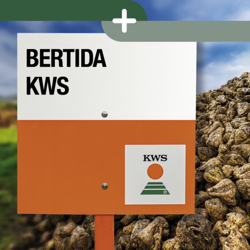 BERTIDA KWS