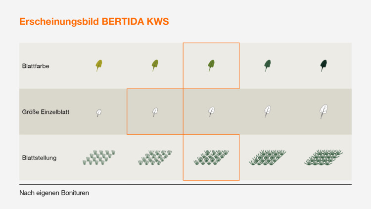 BERTIDA KWS