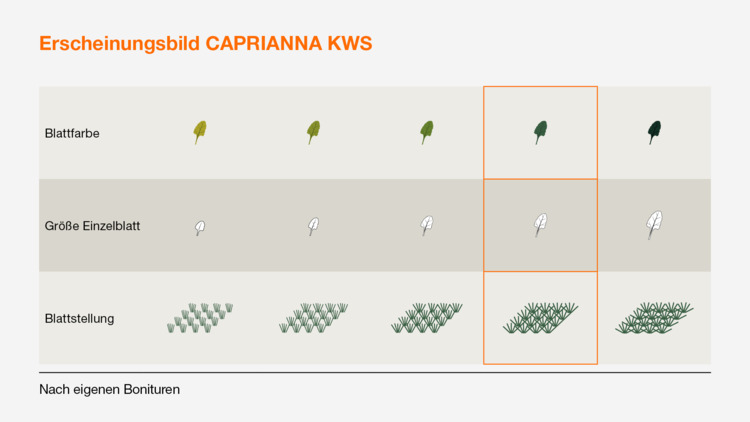 CAPRIANNA KWS