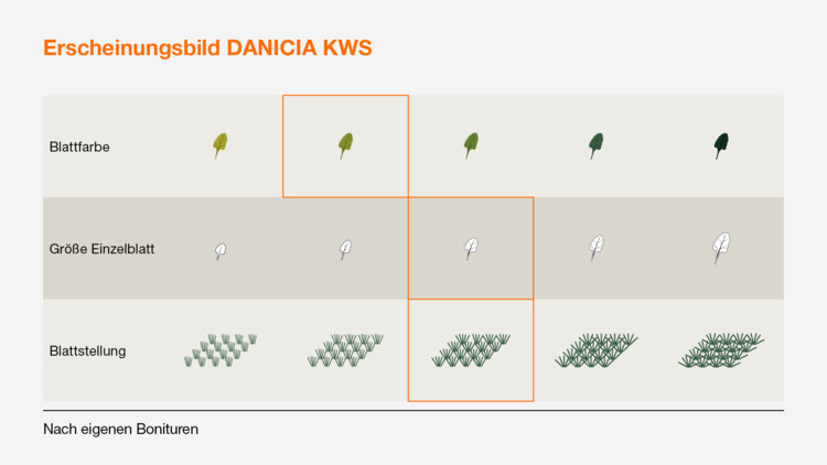 DANICIA KWS