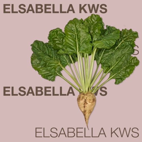 ELSABELLA KWS
