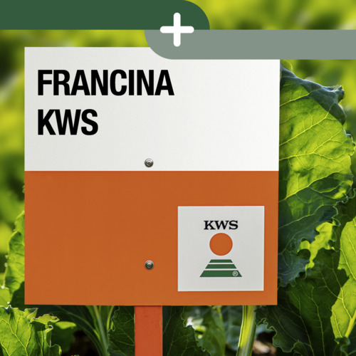 FRANCINA KWS